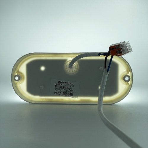 LED світильник Євросвітло ЖКГ CL-RS-V1 8W овал 6400K IP65 з датчиком руху і освітлення 000059214