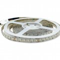 LED стрічка Estar SMD3535 288шт/м 23W/м IP20 24V (RGB+3000K) 5 метрів ES-FS3535RGBWWW-288-24-Y LED стрічка Estar SMD3535 288шт/м 23W/м IP20 24V (RGB+3000K) 5 метрів ES-FS3535RGBWWW-288-24-Y