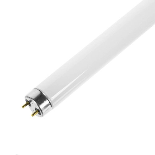LED лампа для знищення комах Євросвітло T8 Insect G13 10Вт 000057352