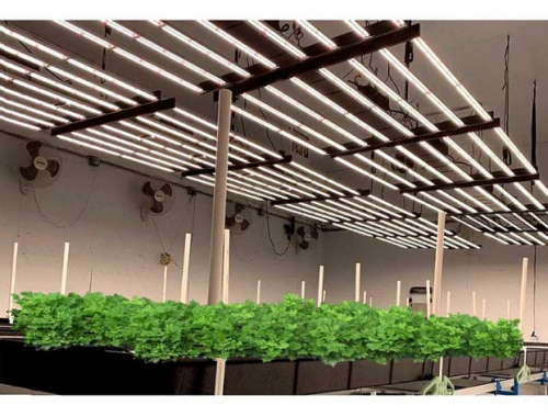 Фітосвітильник для рослин Black Label 720W (Samsung LM281B) з драйвером BL720W/2.6