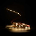 LED лента Prolum SG SMD2835 120шт/м 13W/м 24V 2700-6500K 350051 LED лента Prolum SG SMD2835 120шт/м 13W/м 24V 2700-6500K 350051