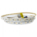 LED лента Rishang SMD5050 60шт/м 17.6W/м IP20 24V (RGB+WW) RD0260AC-A 12696