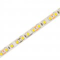 LED стрічка Eurolamp SMD2835 120шт/м 12W/м IP20 12V 4500K LED/ROLL-5m/4500K(120)12V