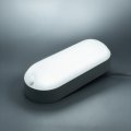 LED светильник Biom ЖКХ MPL-О9-6 9W 6000K IP65 овальный 17815