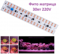 LED фіто матриця LT 30W повний спектр PHYTO-REPAIR-30 041101