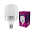 LED лампа ELM 100W E40 6500К 18-0198