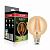 Світлодіодна лампа Eurolamp філамент (filament) G95 8W E27 4000K (deco) LED-G95-08274(Amber)