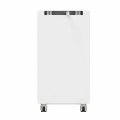 Акумуляторна батарея літієва Biom Professional LiFePO4 48В 314Ah BALFP-512314-V2 00-00028000 Акумуляторна батарея літієва Biom Professional LiFePO4 48В 314Ah BALFP-512314-V2 00-00028000