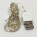 Led гірлянда USB Biom РОСА AL 30шт 3м білий колір 10000K R-L-3-30-06-10